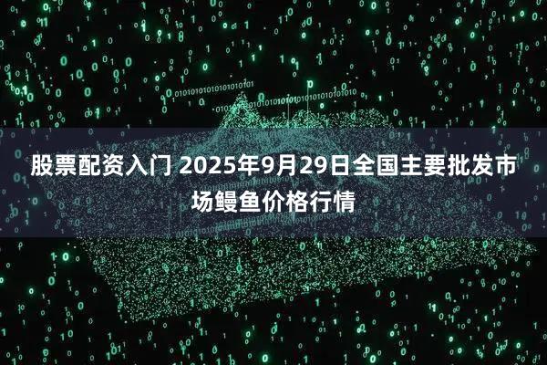 股票配资入门 2025年9月29日全国主要批发市场鳗鱼价格行情