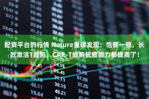 配资平台的行情 Nature重磅发现：饱餐一顿，长效激活T细胞，CAR-T细胞抗癌能力都提高了！