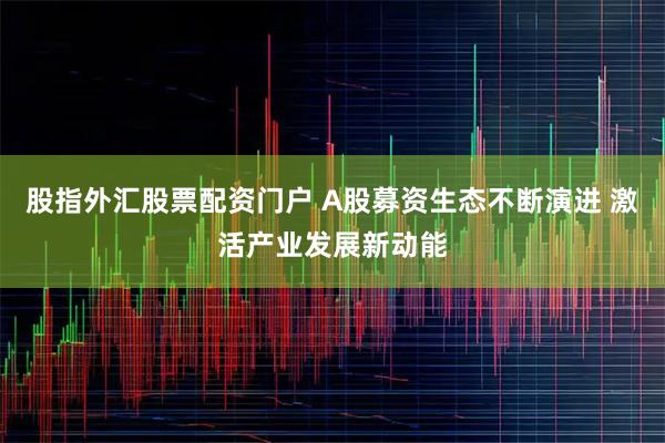 股指外汇股票配资门户 A股募资生态不断演进 激活产业发展新动能